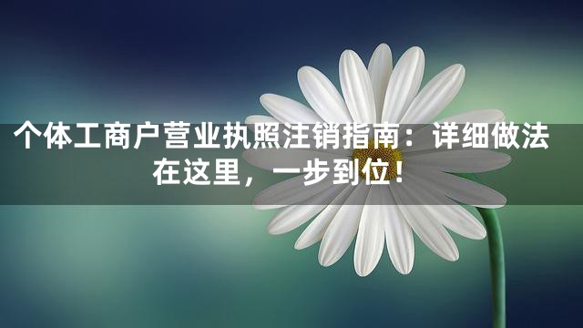 个体工商户营业执照注销指南：详细做法在这里，一步到位！
