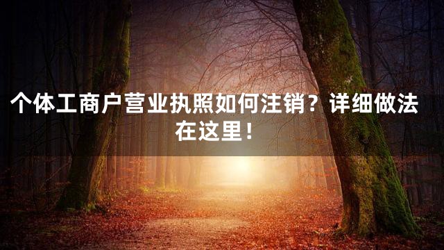 个体工商户营业执照如何注销？详细做法在这里！