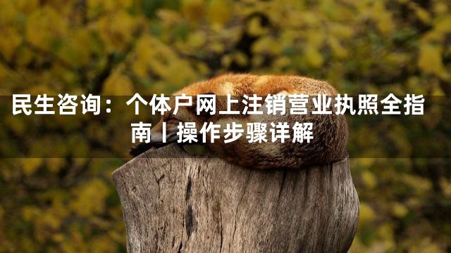 民生咨询：个体户网上注销营业执照全指南丨操作步骤详解