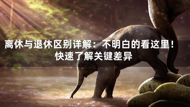 离休与退休区别详解：不明白的看这里！快速了解关键差异