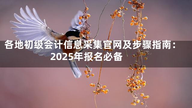 各地初级会计信息采集官网及步骤指南：2025年报名必备