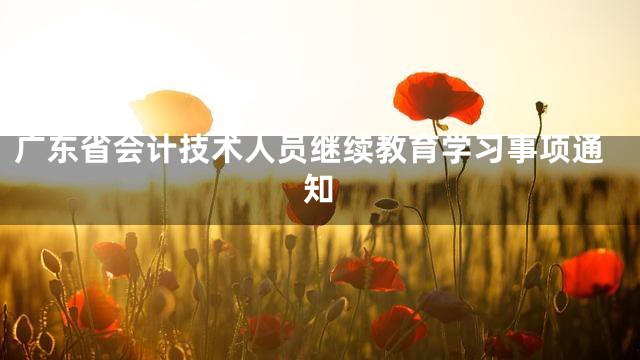 广东省会计技术人员继续教育学习事项通知
