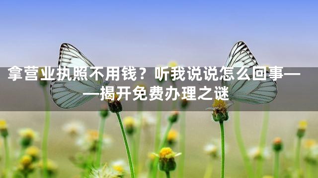 拿营业执照不用钱？听我说说怎么回事——揭开免费办理之谜