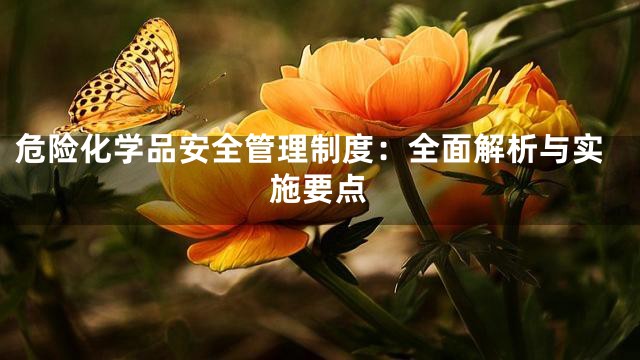 危险化学品安全管理制度：全面解析与实施要点