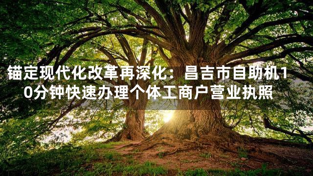 锚定现代化改革再深化：昌吉市自助机10分钟快速办理个体工商户营业执照