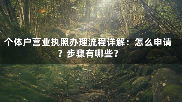 个体户营业执照办理流程详解：怎么申请？步骤有哪些？