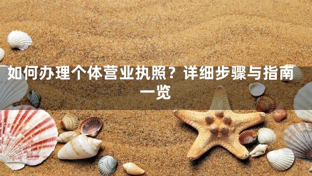 如何办理个体营业执照？详细步骤与指南一览