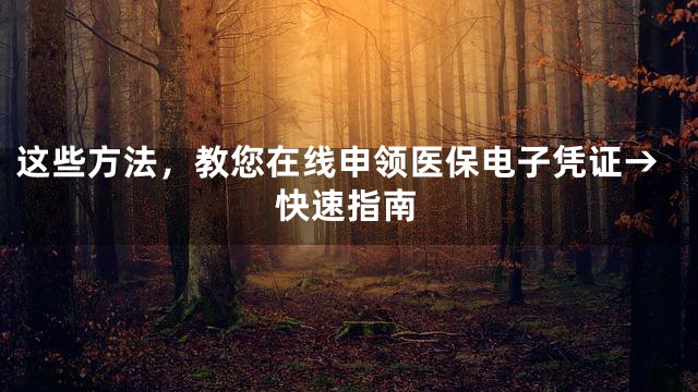 这些方法，教您在线申领医保电子凭证→快速指南
