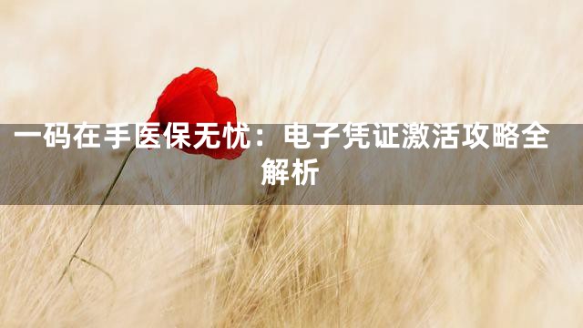 一码在手医保无忧：电子凭证激活攻略全解析