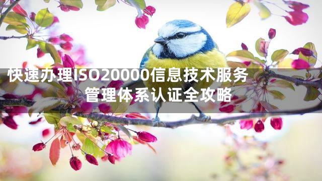 快速办理ISO20000信息技术服务管理体系认证全攻略