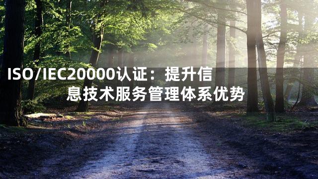 ISO/IEC20000认证：提升信息技术服务管理体系优势