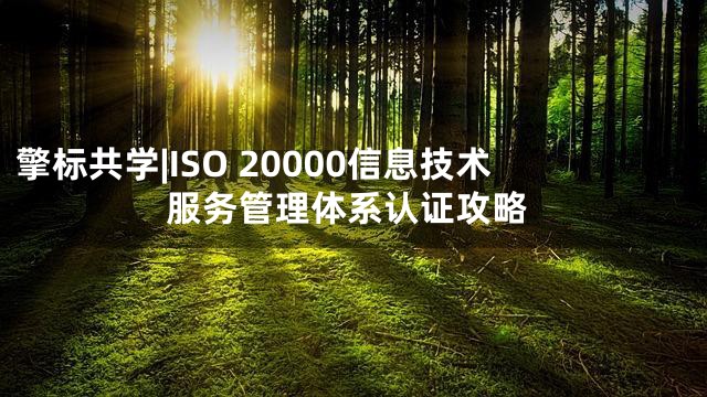 擎标共学|ISO 20000信息技术服务管理体系认证攻略