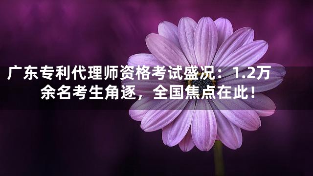 广东专利代理师资格考试盛况：1.2万余名考生角逐，全国焦点在此！