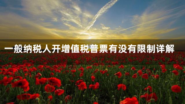 一般纳税人开增值税普票有没有限制详解