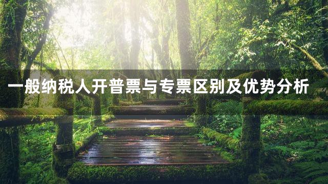 一般纳税人开普票与专票区别及优势分析