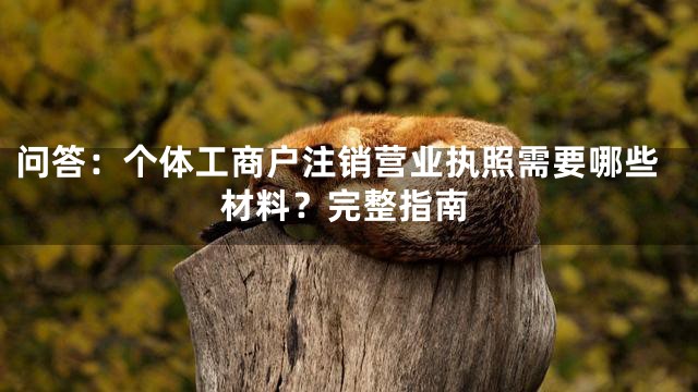 问答：个体工商户注销营业执照需要哪些材料？完整指南