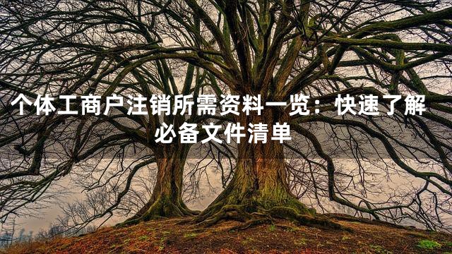 个体工商户注销所需资料一览：快速了解必备文件清单