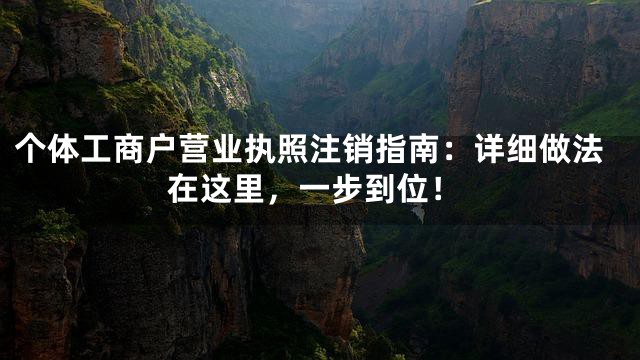 个体工商户营业执照注销指南：详细做法在这里，一步到位！
