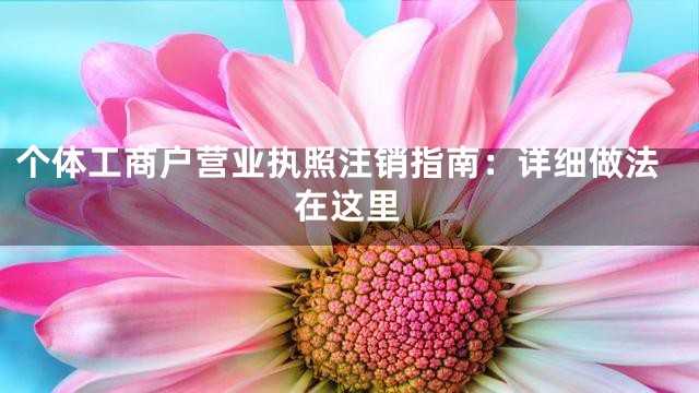 个体工商户营业执照注销指南：详细做法在这里