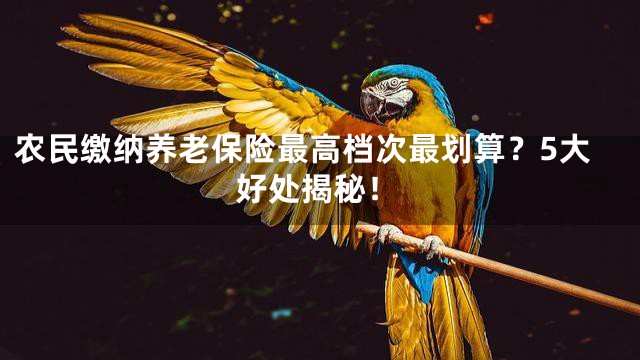 农民缴纳养老保险最高档次最划算？5大好处揭秘！