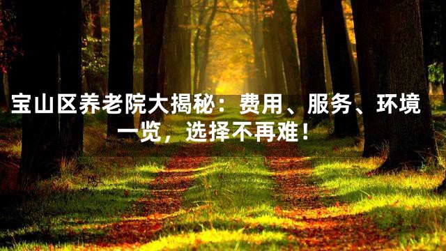 宝山区养老院大揭秘：费用、服务、环境一览，选择不再难！