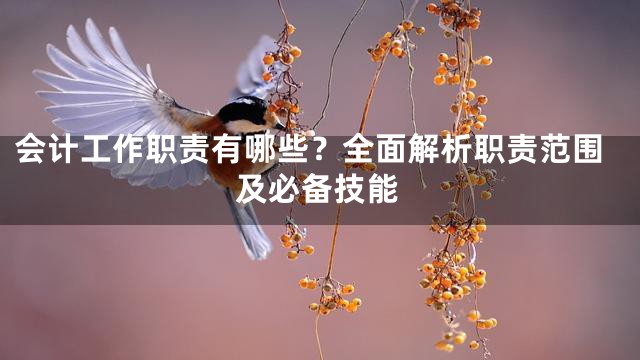 会计工作职责有哪些？全面解析职责范围及必备技能