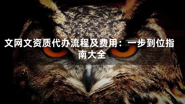 文网文资质代办流程及费用：一步到位指南大全