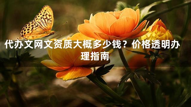 代办文网文资质大概多少钱？价格透明办理指南