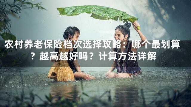 农村养老保险档次选择攻略：哪个最划算？越高越好吗？计算方法详解