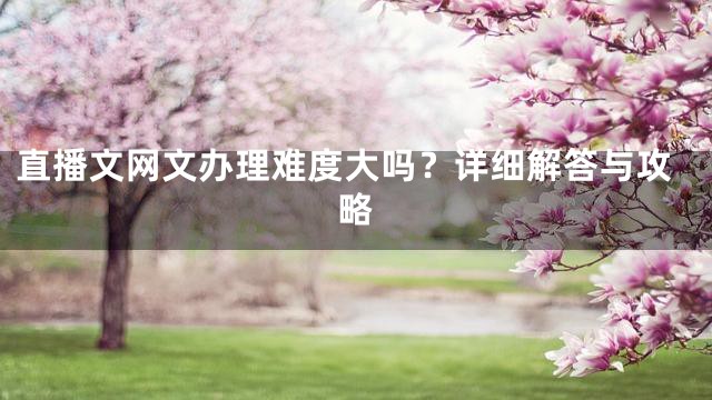 直播文网文办理难度大吗？详细解答与攻略