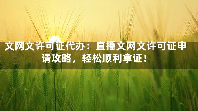 文网文许可证代办：直播文网文许可证申请攻略，轻松顺利拿证！
