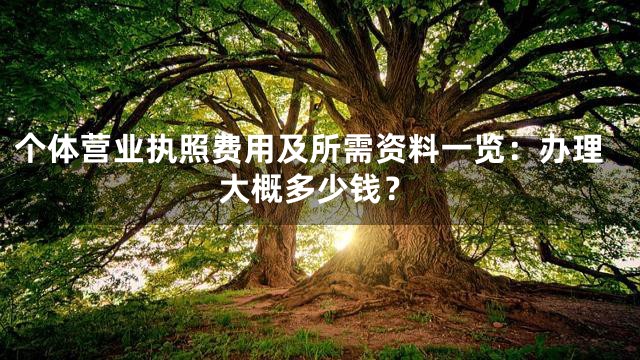 个体营业执照费用及所需资料一览：办理大概多少钱？