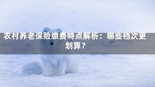 农村养老保险缴费特点解析：哪些档次更划算？