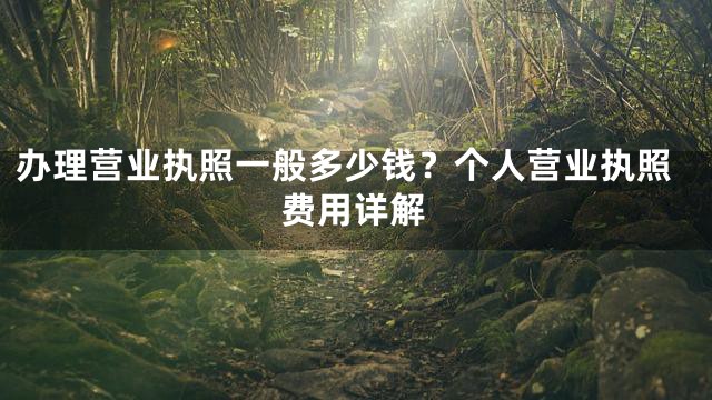办理营业执照一般多少钱？个人营业执照费用详解