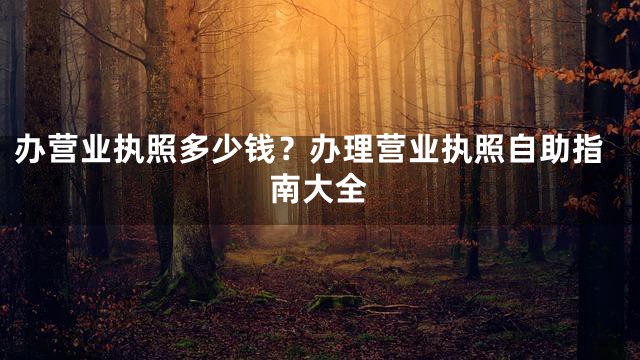 办营业执照多少钱？办理营业执照自助指南大全