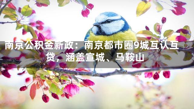 南京公积金新政：南京都市圈9城互认互贷，涵盖宣城、马鞍山