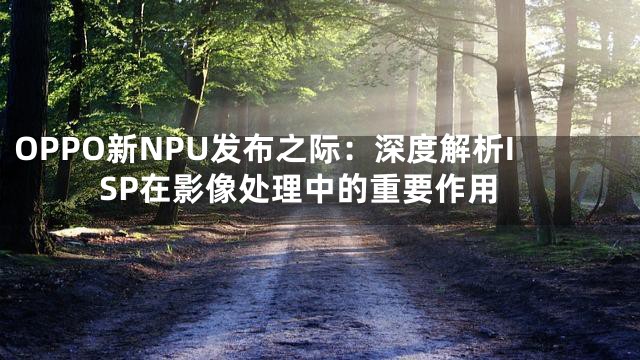 OPPO新NPU发布之际：深度解析ISP在影像处理中的重要作用