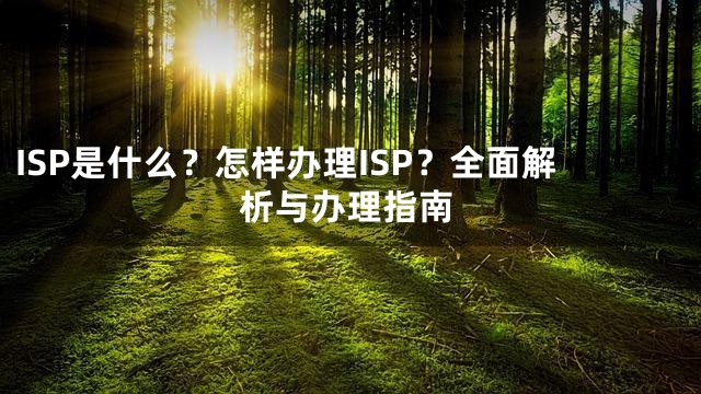 ISP是什么？怎样办理ISP？全面解析与办理指南