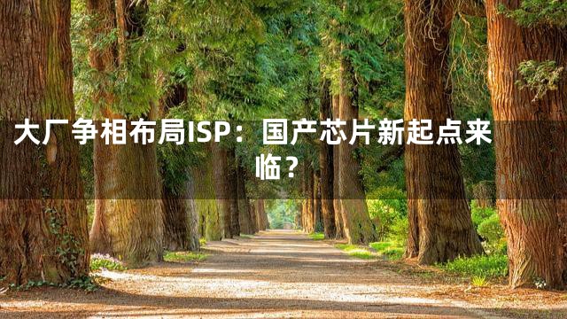 大厂争相布局ISP：国产芯片新起点来临？
