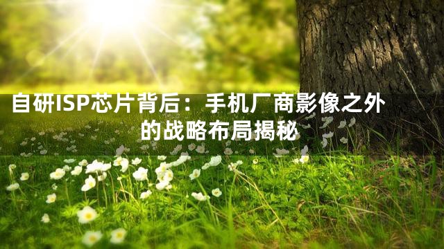 自研ISP芯片背后：手机厂商影像之外的战略布局揭秘