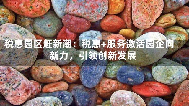 税惠园区赶新潮：税惠+服务激活园企向新力，引领创新发展