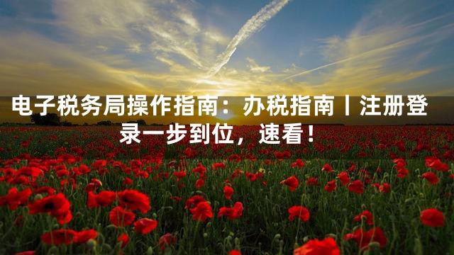 电子税务局操作指南：办税指南丨注册登录一步到位，速看！