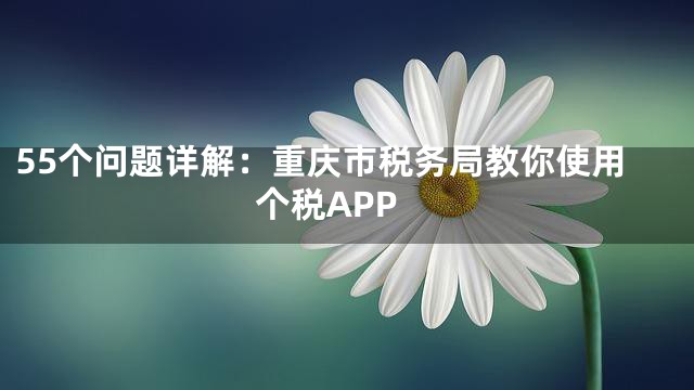 55个问题详解：重庆市税务局教你使用个税APP