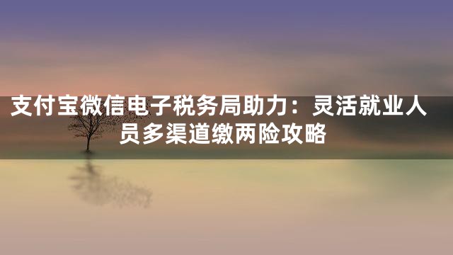 支付宝微信电子税务局助力：灵活就业人员多渠道缴两险攻略
