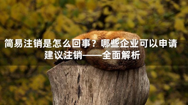 简易注销是怎么回事？哪些企业可以申请建议注销——全面解析
