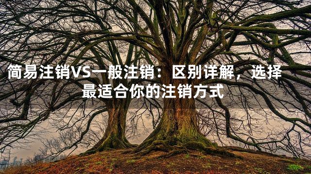 简易注销VS一般注销：区别详解，选择最适合你的注销方式