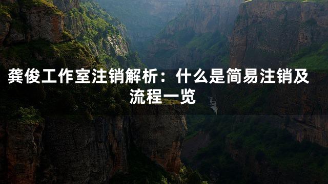 龚俊工作室注销解析：什么是简易注销及流程一览
