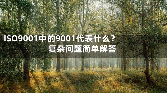 ISO9001中的9001代表什么？复杂问题简单解答