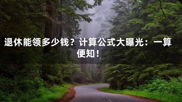 退休能领多少钱？计算公式大曝光：一算便知！