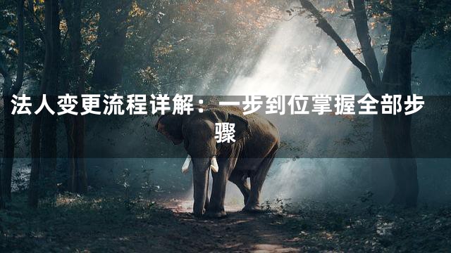 法人变更流程详解：一步到位掌握全部步骤